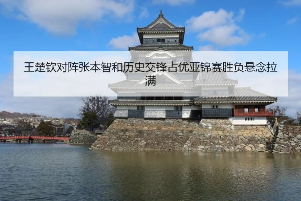 王楚钦对阵张本智和历史交锋占优亚锦赛胜负悬念拉满 - OETY